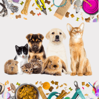Pets Product